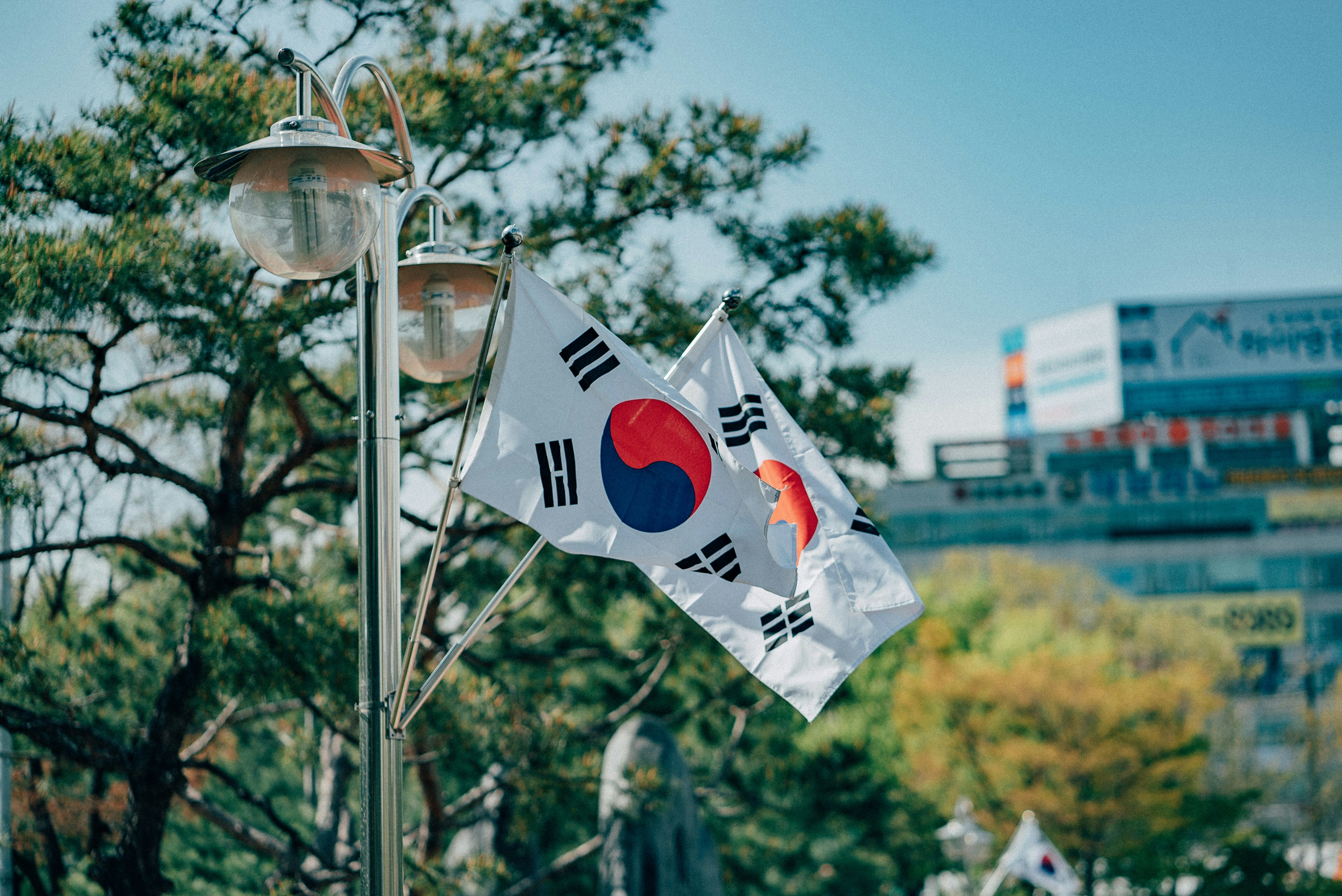 How South Korea is the next big study abroad destination for international students
